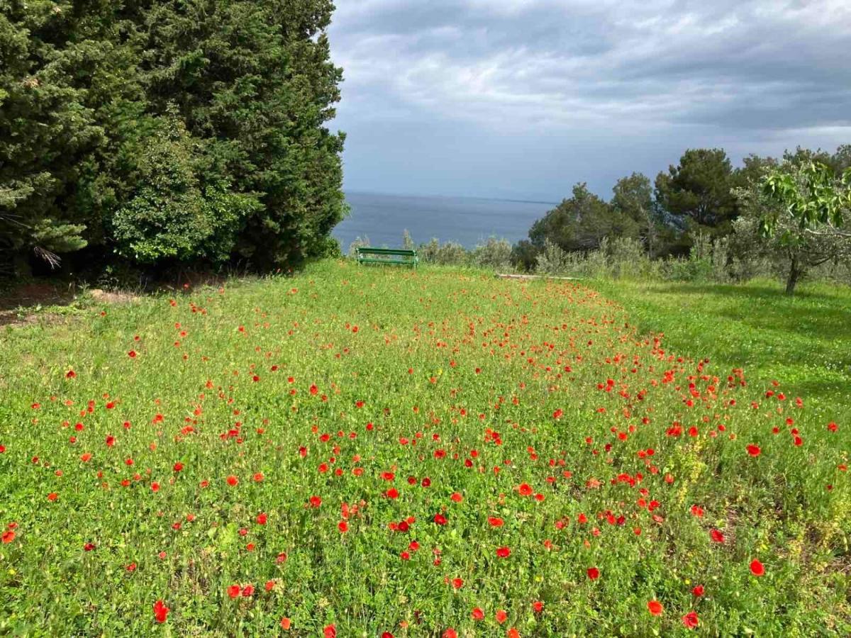 Istrian Green House Portoroz Ngoại thất bức ảnh