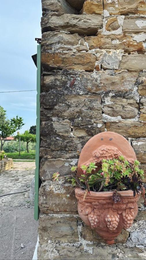 Istrian Green House Portoroz Ngoại thất bức ảnh