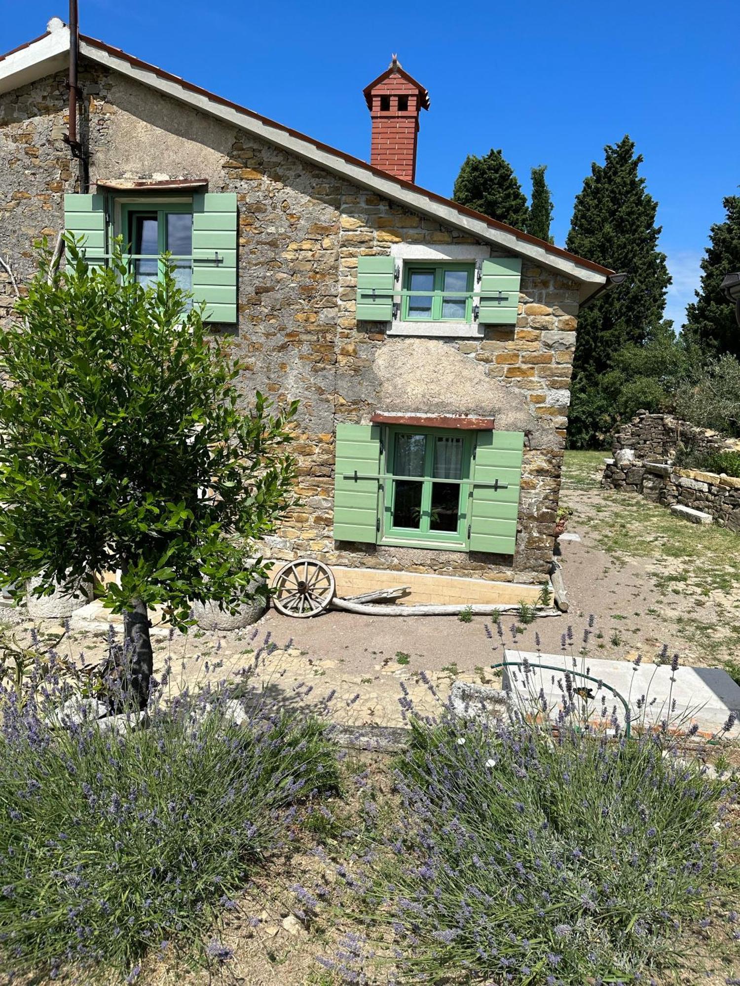 Istrian Green House Portoroz Ngoại thất bức ảnh