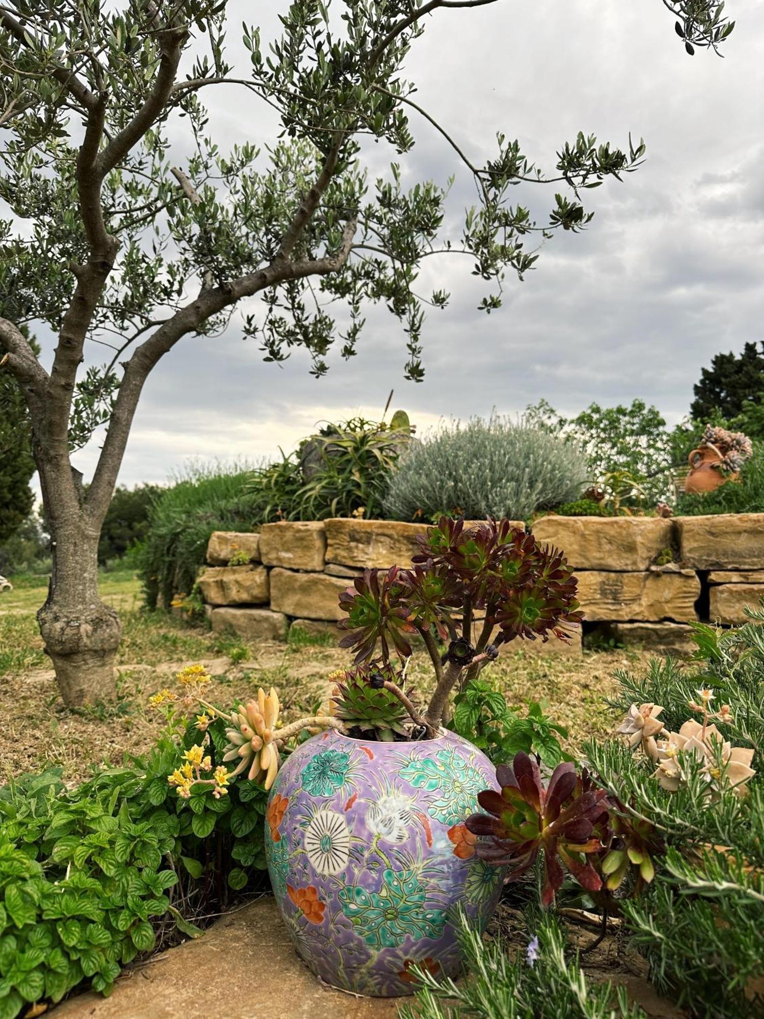 Istrian Green House Portoroz Ngoại thất bức ảnh